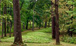 Great_Bear_Mound_Group,_North_Unit,_Effigy_Mounds_National_Monument.jpg