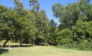 NisipowinanVillageSite.jpg NisipowinanVillageSite.jpg