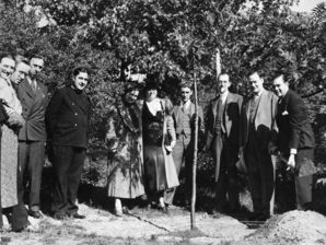 Czech-cmp-treeplanting43 B1a5a1396f.jpg Czech-cmp-treeplanting43 B1a5a1396f.jpg