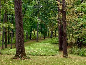 Great_Bear_Mound_Group,_North_Unit,_Effigy_Mounds_National_Monument.jpg Great_Bear_Mound_Group,_North_Unit,_Effigy_Mounds_National_Monument.jpg