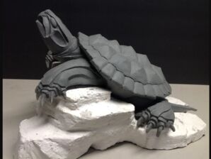 Turtle.png Turtle.png